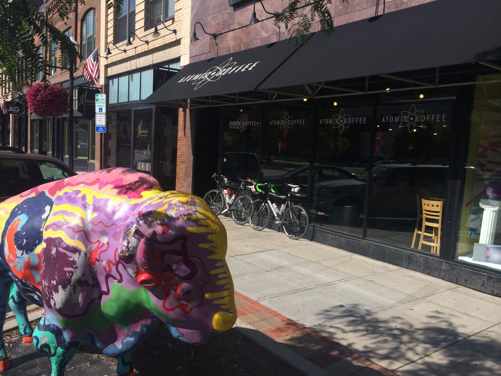 Fargo is decorated with multicolored bison much like how Blacksburg is decorated with Hokie birds.